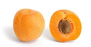 Apricot (25 per bundle) - Image 3